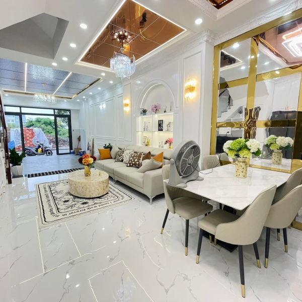 Nhà đẹp đường 10m giá 8tỷ350